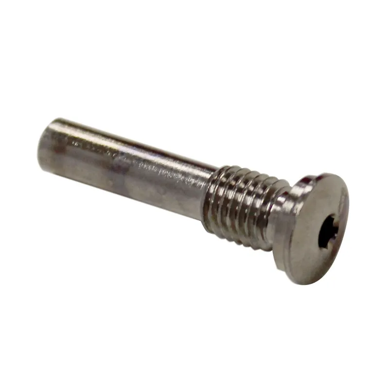 Speakman 48-0303-RCP-P Cap Screw, Vacuum Breaker