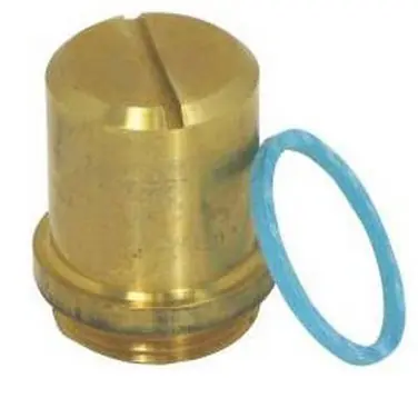 Speakman RPG07-0004 Cap and Gasket Kit