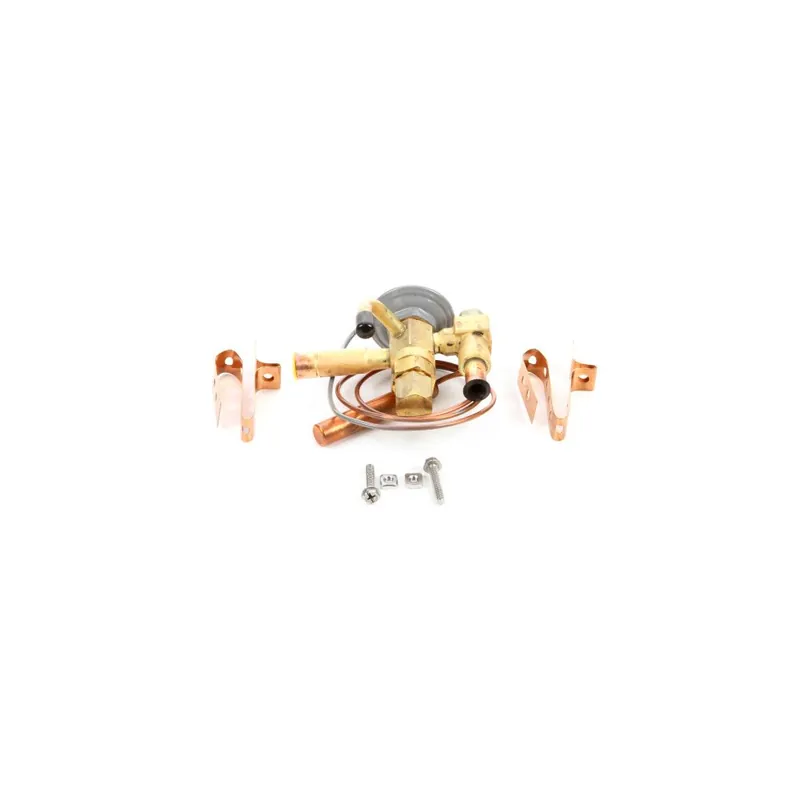 Hussmann 0460993 Valve-Expansion SFBSE 1/2C R404