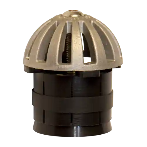 Rectorseal GDL-DOME-2000 Guardian Dome Drain Lock 2 inches