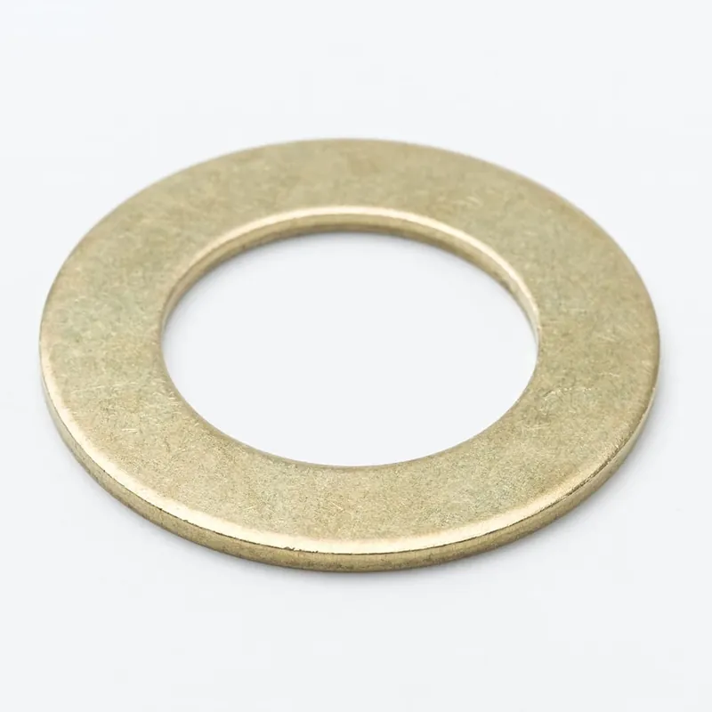 T&S Brass 002290-45 Washer Body T&s