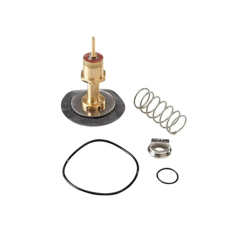 Watts 887015 Rk009Vt Total Relief Valve Kit