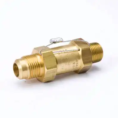 Mueller Industries 15502-600 Pressure Relief Valve 600# 3/8