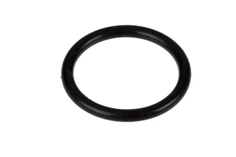 Delonghi 5313238581 GASKET