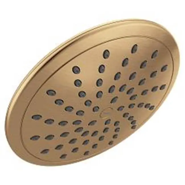 Moen 6345EPBZG one-function 8 feet' diameter spray head eco-performance rainshower