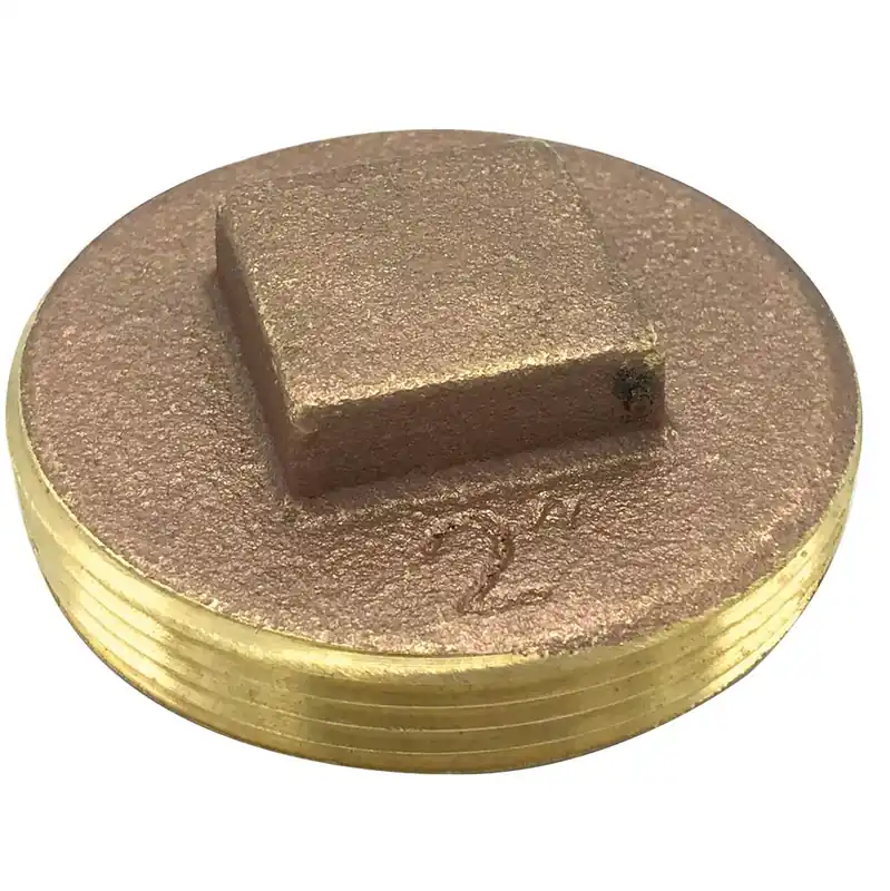Wal-Rich 2424202 2 inches raised-head brass plug