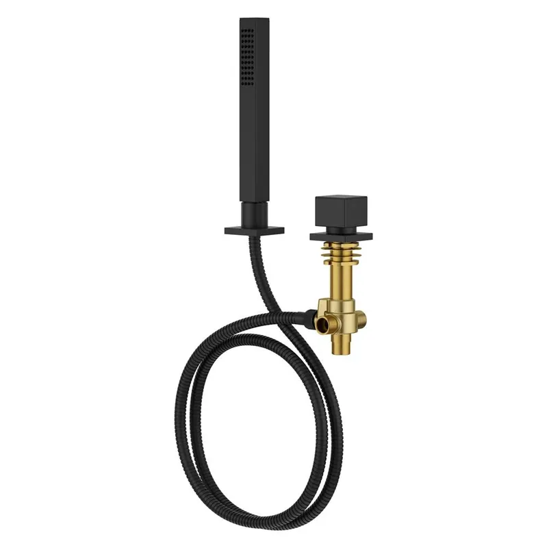 Pfister LG16-VRVB Verve 1.8 GPM Single Function Roman Hand Shower with Hose and Diverter Handle Less Valve