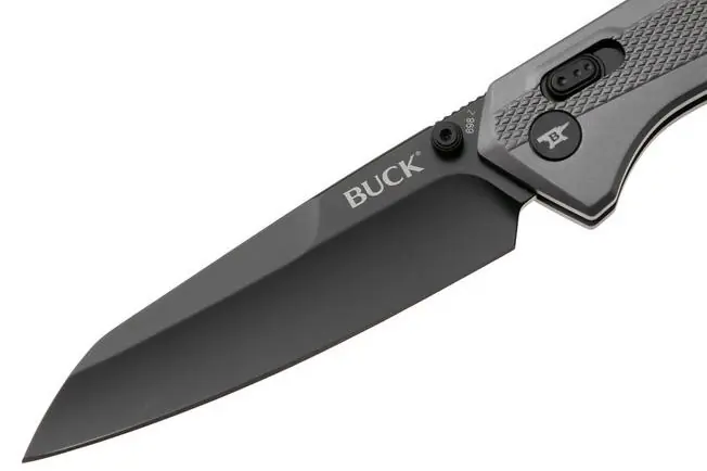 Buck Knives 0698GYS Ferrox Crossbar Lock Knife (3.4 inches Black)