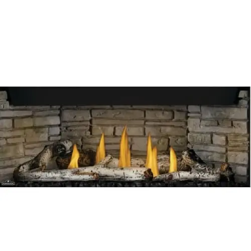 Napoleon Hearth BLKBLP46 Standard Birch Log Kit for BLP46
