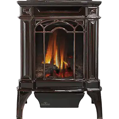 Napoleon Hearth GDS20NNSB Arlington Direct Vent Gas Stove 20,000 BTU