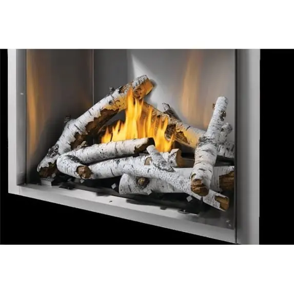 Napoleon Hearth BLKRS36 36 in. High Definition Birch Log Kit RSS36NE