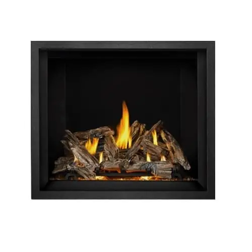 Napoleon Hearth EX42PTEL Elevation X Series 42 inches Direct Vent Fireplace 45,000 Btu's