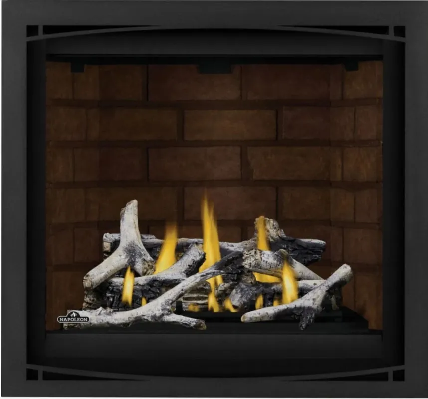 Napoleon Hearth AX36PTE-1 Altitude X 36 inches Direct Vent Fireplace Propane