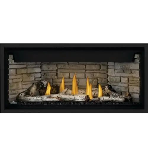 Napoleon Hearth BLP42NTE Ascent Linear 42 20,000 BTU