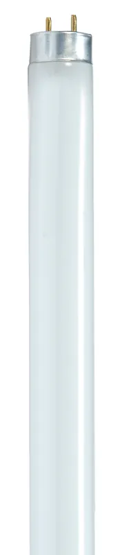 Satco S8412 T8 Fluorescent Lamp 25W (36 Inch) F25T8/841/ENV