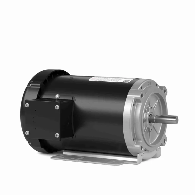 Leeson 056T17F15949 General Purpose Motor 0.33 & 0.33 HP