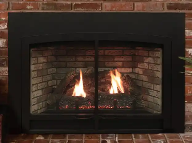 Empire Comfort Systems DVC20IN31 White Mountain Hearth Innsbrook Direct Vent Fireplace Insert