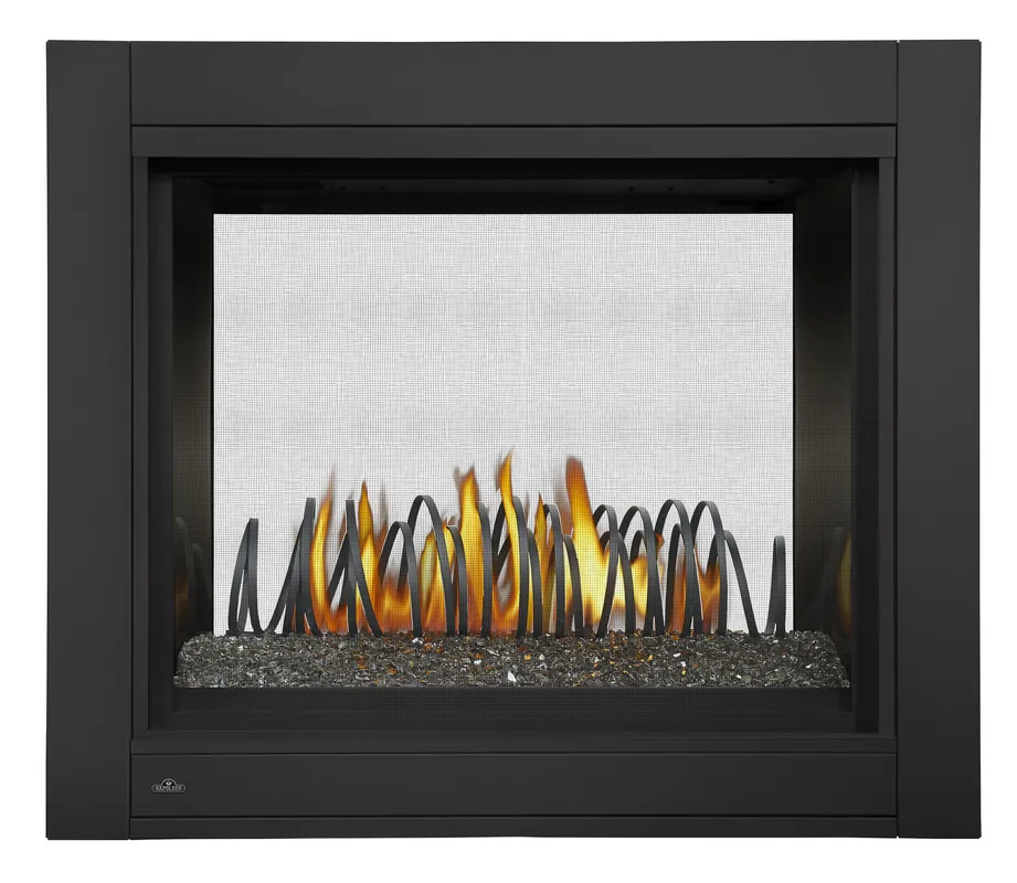 Napoleon Hearth BHD4STGN Ascent Multi-View 30000 BTU