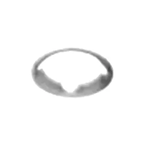 Zurn Pex QR3 qicktite series gripper ring 1/2 in