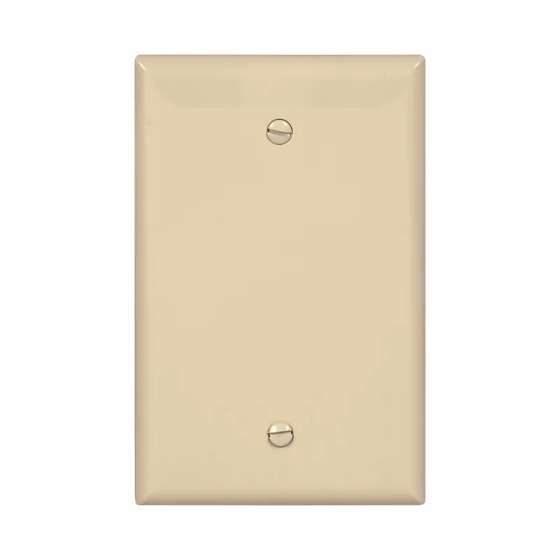 Eaton PJ13V Wallplate 1G Blank Box Mo