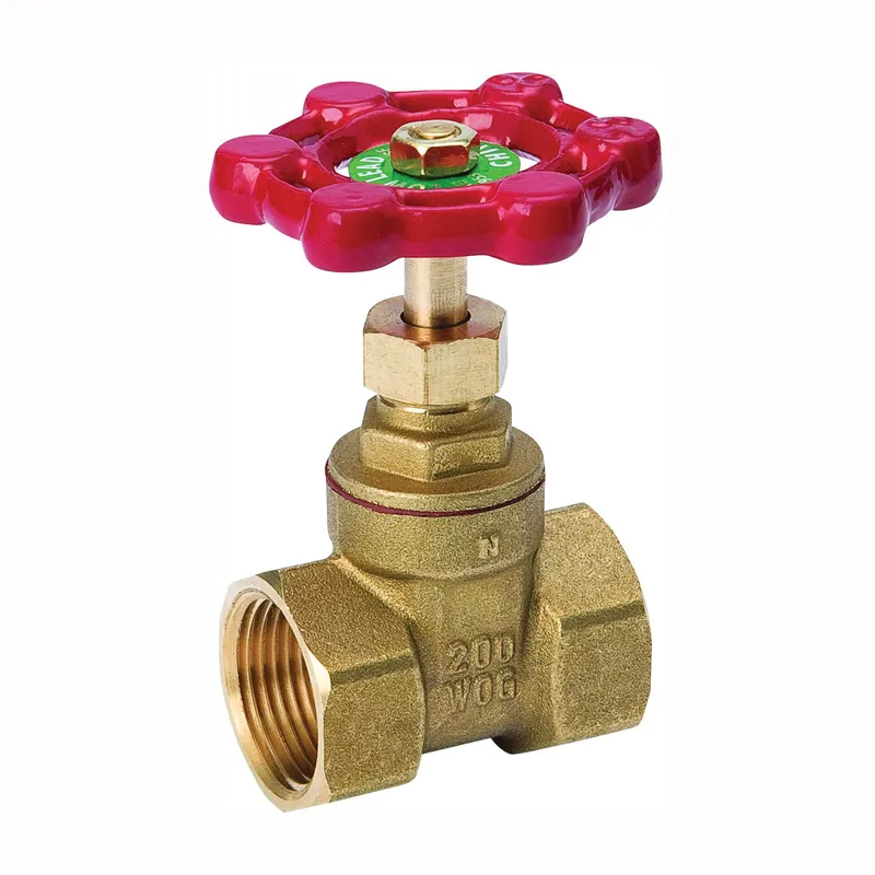 Bk Products 100-404NL Gate Valve 3/4 in FPT
