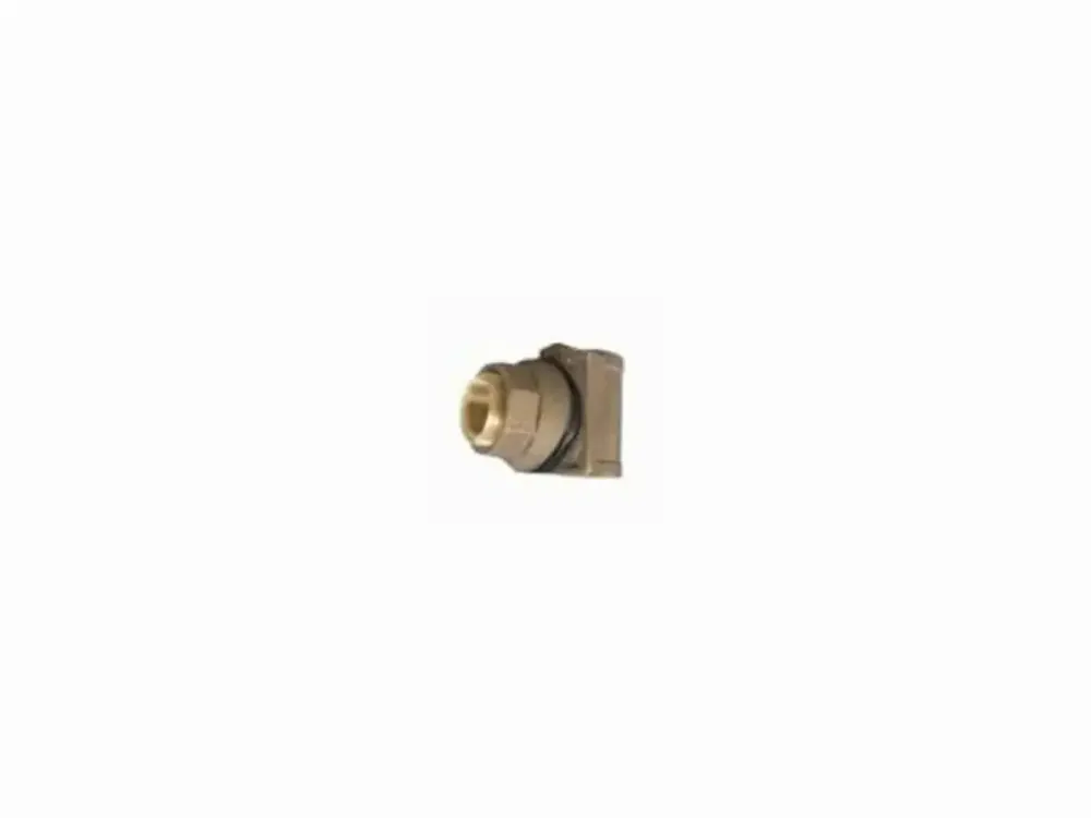 Campbell PA800SS Pitless Adapter, 1 in, Stainless Steel
