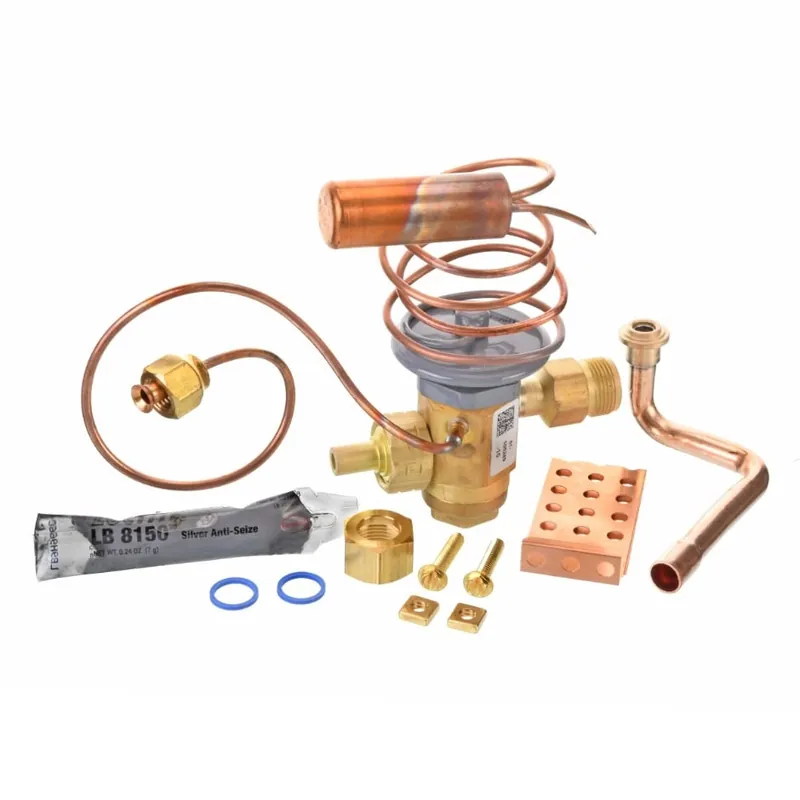 Ruud PD619083 Thermal Expansion Valve