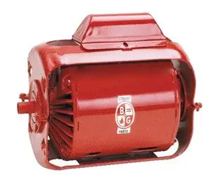 Bornquist 111061 1/6hp replac motor