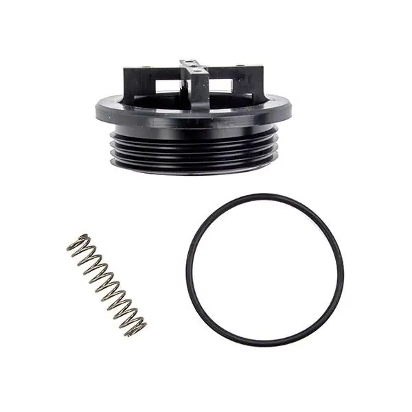 Watts 887196 rk 289-b 3/4-1 3/4-1 backflow repair kit