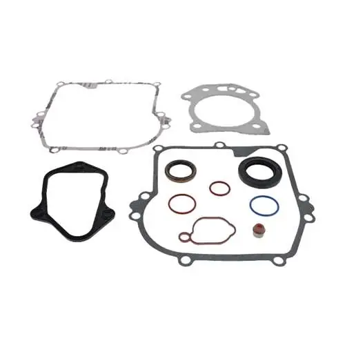 Briggs & Stratton 84006591 Gasket Set, Engine