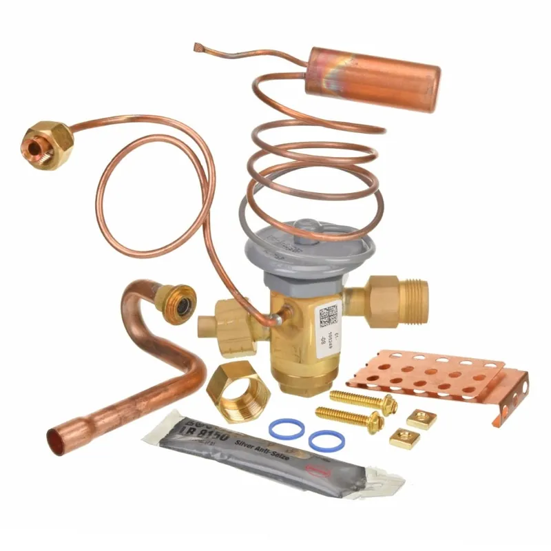 Ruud PD619081 Expansion Valve Kit