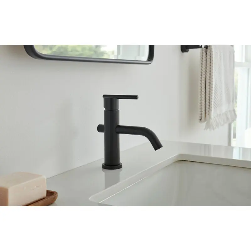 Danze D236158BS Parma Single Hole Bathroom Faucet with Drain Assembly