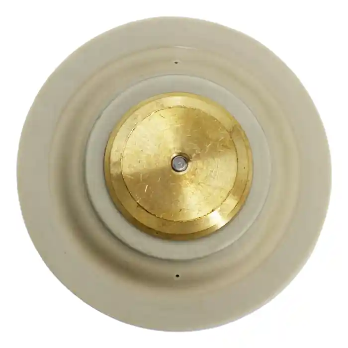 Weathermatic 50-10DSA Diaphragm Assembly for 2 inches S Bullet, B Bullet & B Max Valves