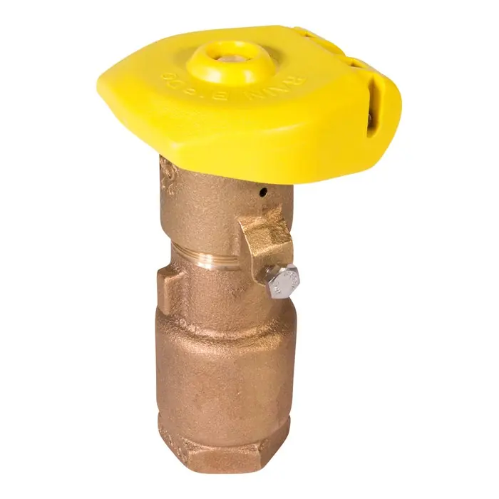 Rain Bird B12106 44LRC Quick Coupling Valve 1 in.