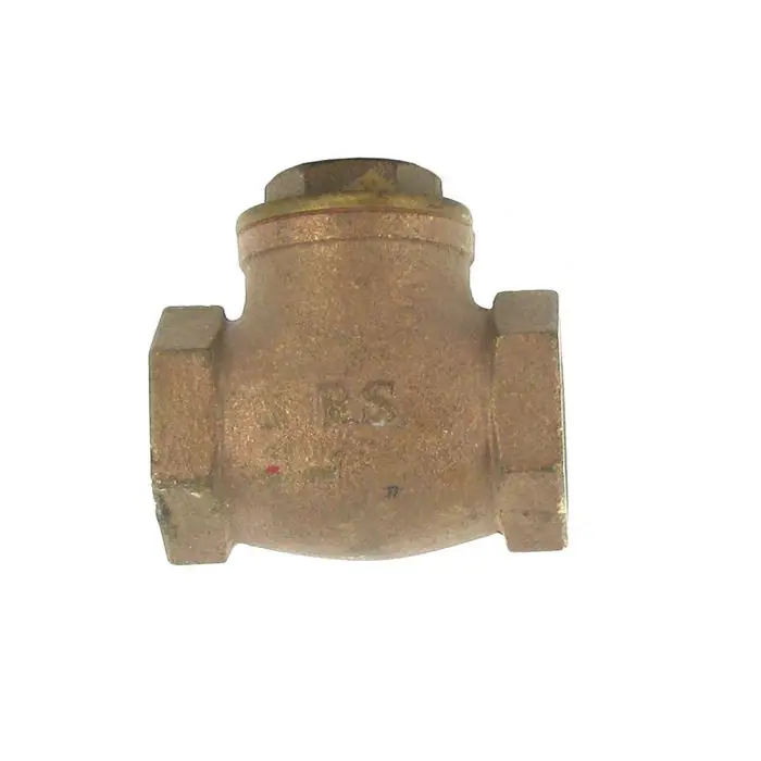 Aqualine CV-100 Swing Brass Check Valve 1 in. CV-100