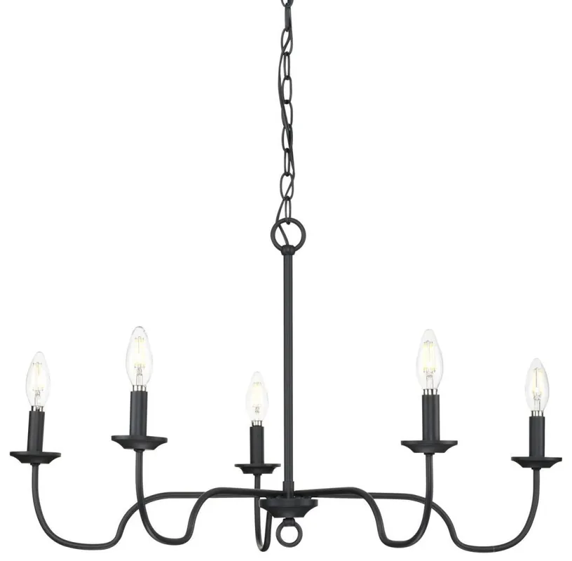 Progress Lighting P400291-31M Farmhouse Chandelier Light