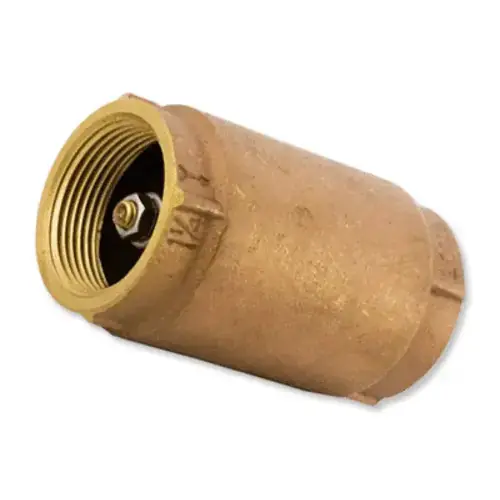 Aqualine CV-200 Swing Brass Check Valve 2 in.