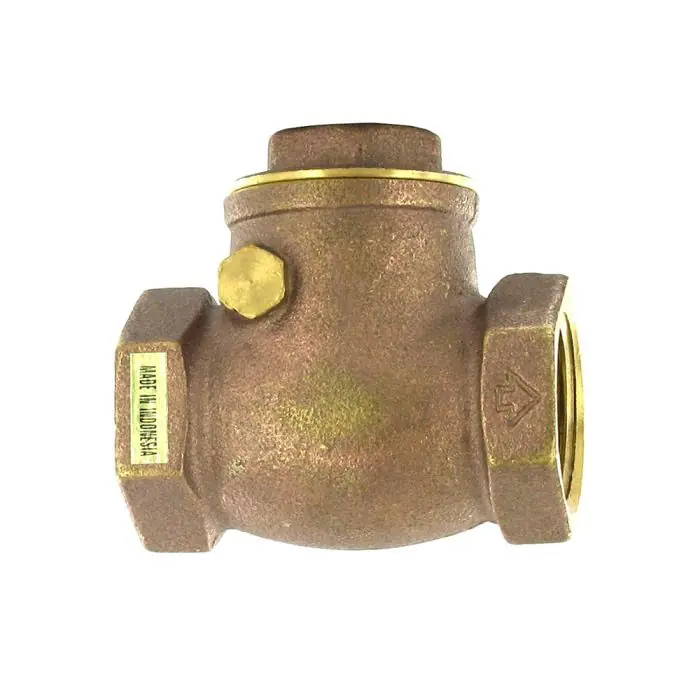 Aqualine CV-075 Swing Brass Check Valve 3/4 in.