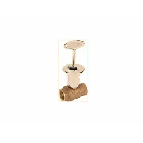 Aqualine LLSV-050 .5 inches Straight Log Lighter Valve
