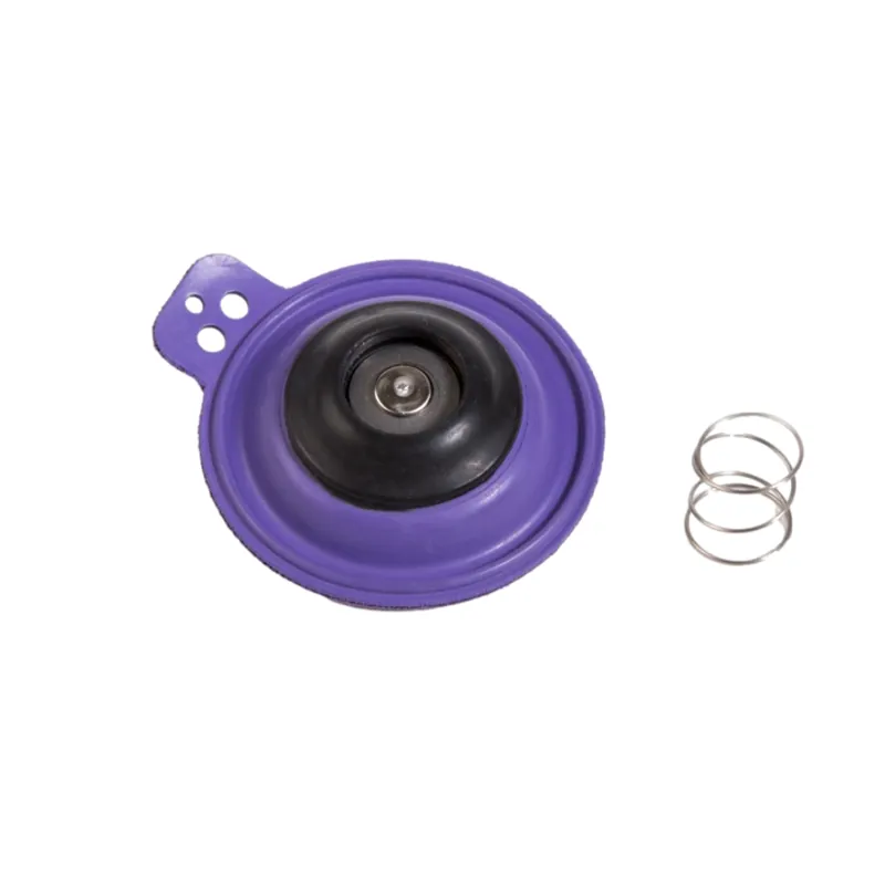 Rain Bird 202868 diaphram assembly 1 in. replacement 202868