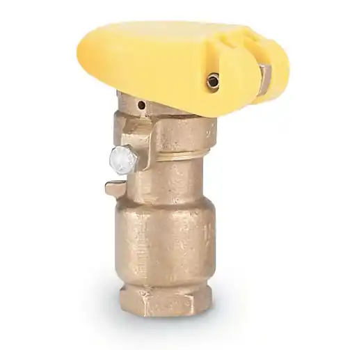 Rain Bird B11506 33DLRC 3/4 in. Quick Coupling Valve with Locking Cover