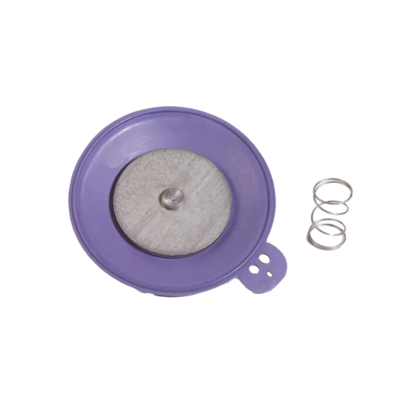 Rain Bird 202615 Diaphragm Repair Kit for 200G & 200EFA Valves