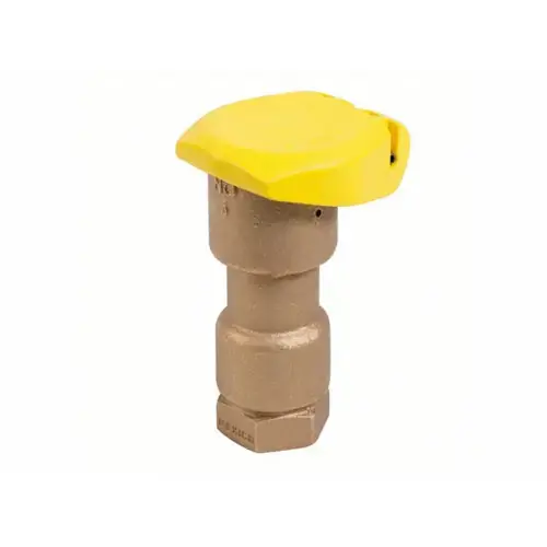 Rain Bird B12703 5rc 1 in. Quick Coupling Valve