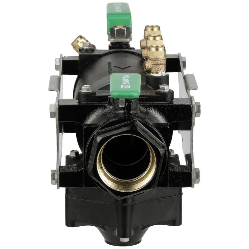 Wilkins 375XLB-2 Reinforced Nylon FPT Reduced Pressure Zone Assembly 2 in