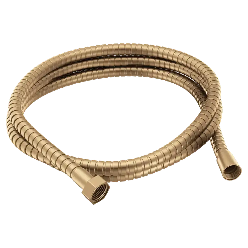 Moen A726BZG Handheld Shower Hose 69 inches