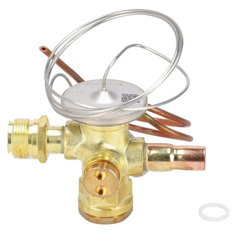 Rheem 61-110041-01 Thermal Expansion Valves