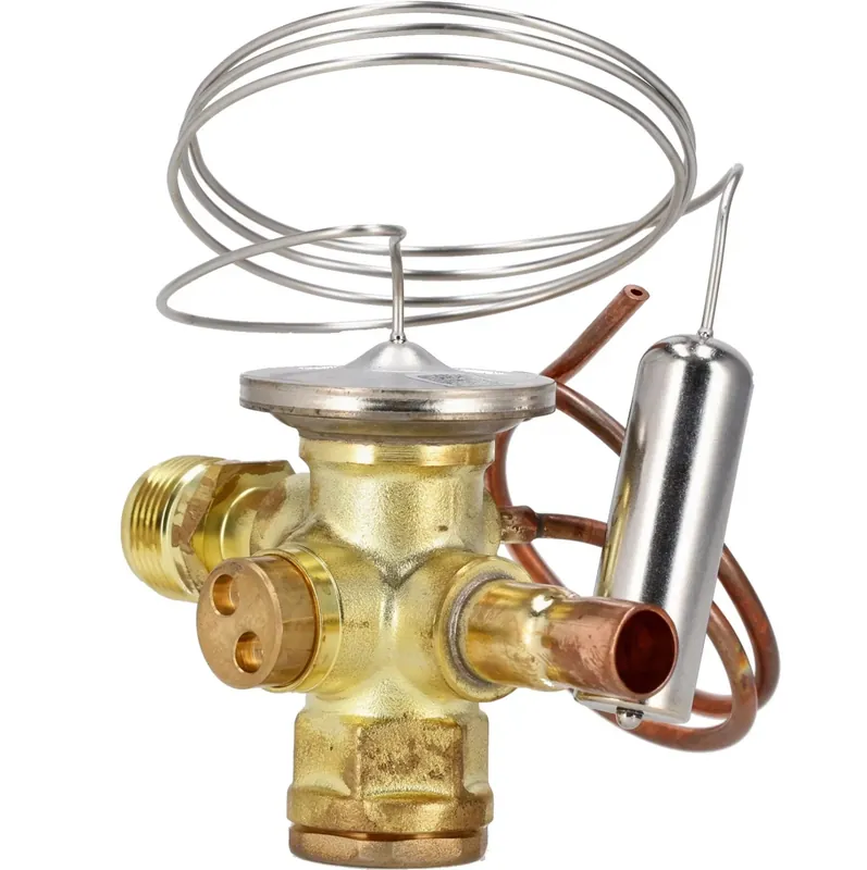 Rheem 61-110041-02 thermal expansion valves
