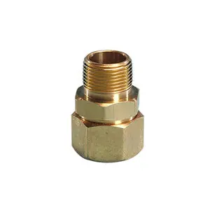 Omegaflex OMEMIP1 fgp-fst-1000 1 inches AutoFlare X MIP Straight Fitting
