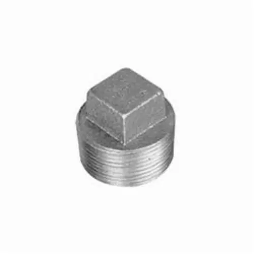 Anvil GALPL2 Plug 2 in Nominal, MNPT End Style