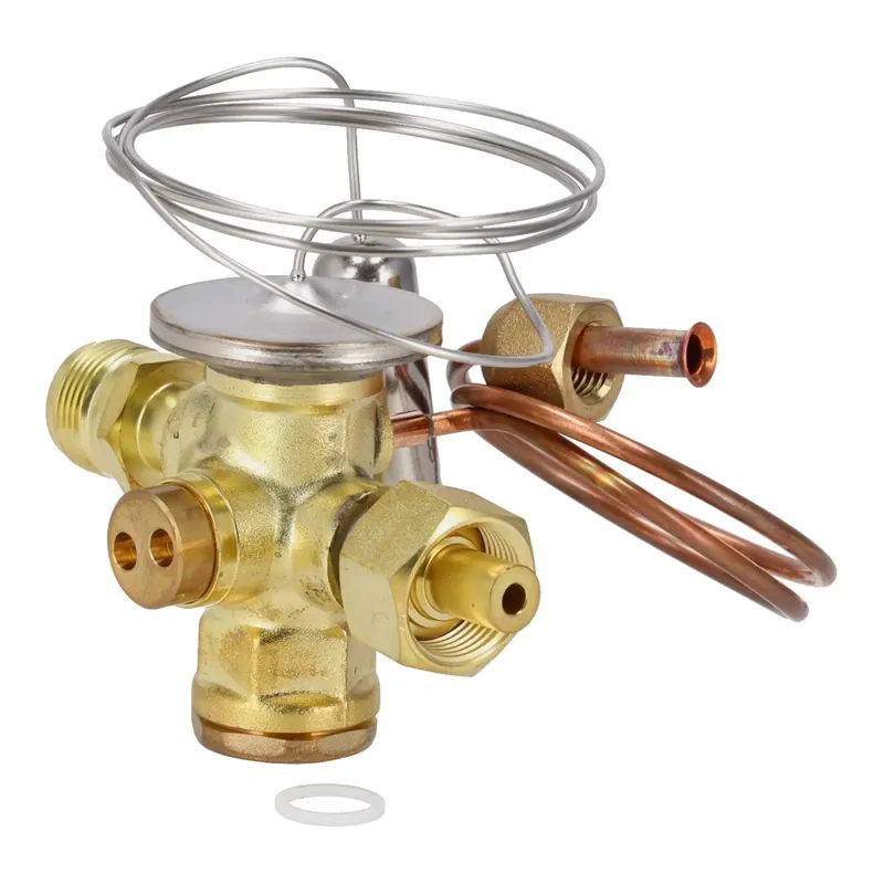 Rheem 61-109537-13V Thermal Expansion Valves